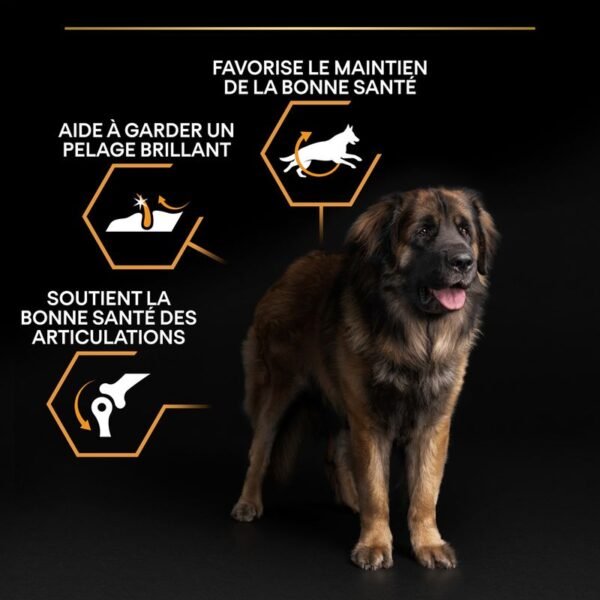 PURINA PRO PLAN Large Robust Adult Everyday Nutrition pour chien - Image 3