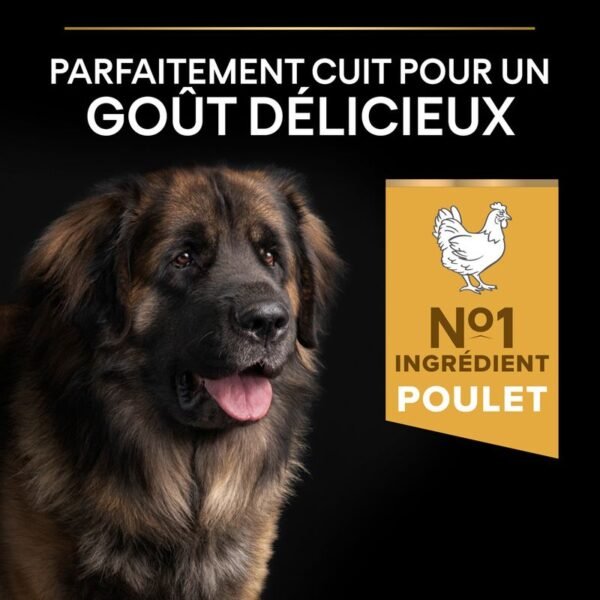 PURINA PRO PLAN Large Robust Adult Everyday Nutrition pour chien - Image 4