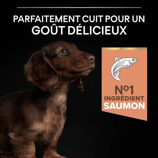 PURINA PRO PLAN Small & Mini Puppy Sensitive Skin pour chien - Image 4