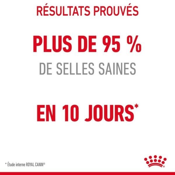 Royal Canin Digestive Care pour chat - Image 4