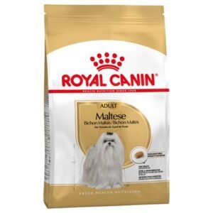 Royal Canin Bichon Maltais Adult pour chien