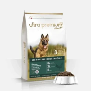 Original Chien adulte