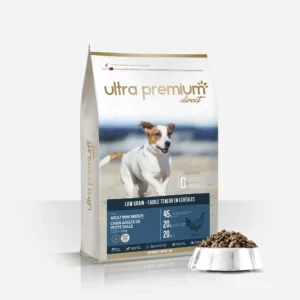 Chien adulte de petite taille (jusqu’à 10 Kg)