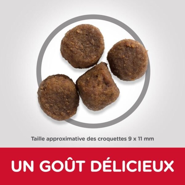 Hill's Science Plan Puppy <1 Medium poulet pour chiot - Image 2