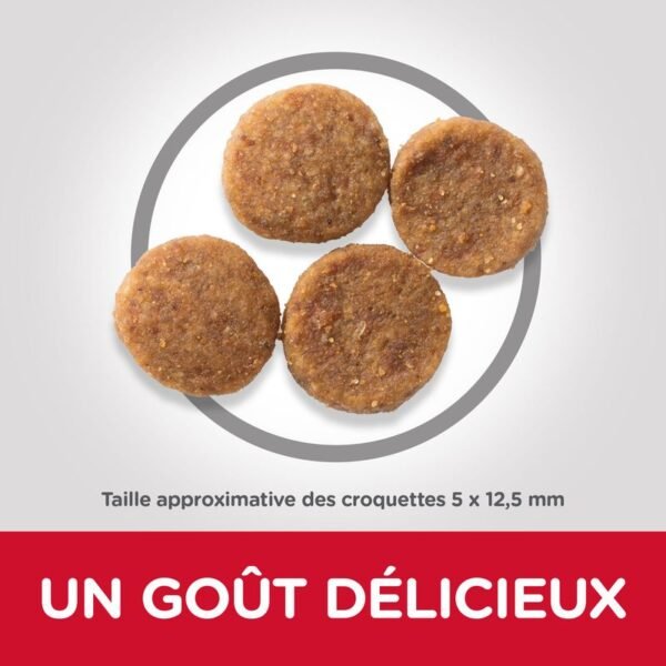 Hill's Science Plan Adult 1+ Sensitive Stomach & Skin Medium poulet pour chien - Image 2