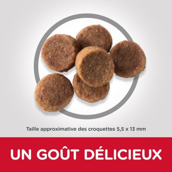 Hill's Science Plan Puppy <1 Large poulet pour chiot - Image 2