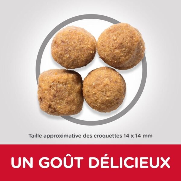 Hill's Science Plan Adult 1-5 Large poulet pour chien - Image 2