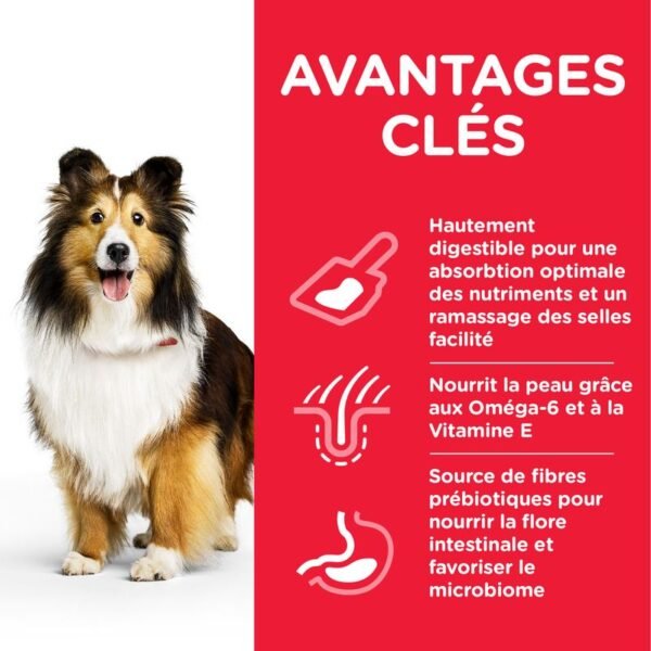 Hill's Science Plan Adult 1+ Sensitive Stomach & Skin Medium poulet pour chien - Image 3