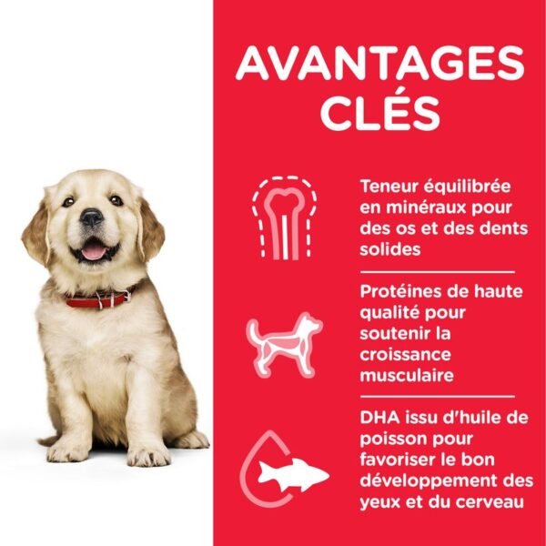 Hill's Science Plan Puppy <1 Large poulet pour chiot - Image 3