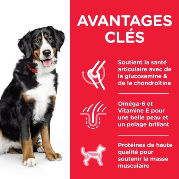 Hill's Science Plan Adult 1-5 Large poulet pour chien - Image 3