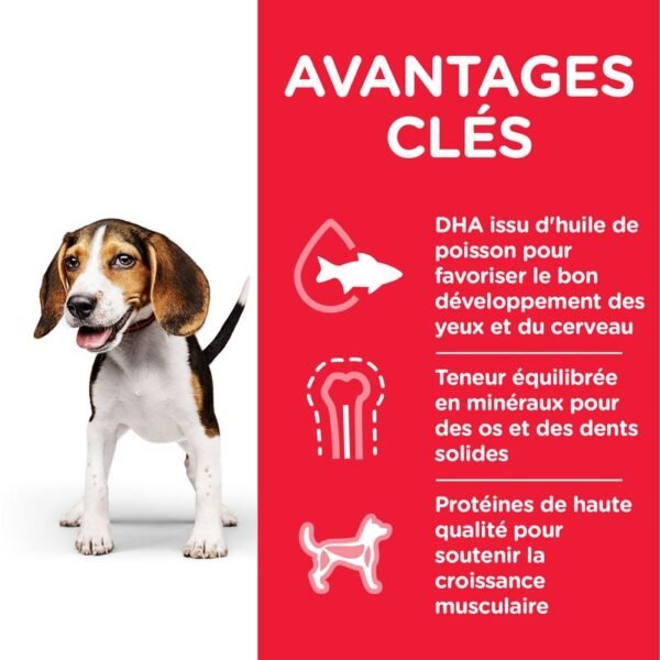 Hill's Science Plan Puppy <1 Medium poulet pour chiot - Image 3