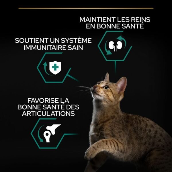 PURINA PRO PLAN Original Adult Renal Plus riche en poulet pour chat - Image 3