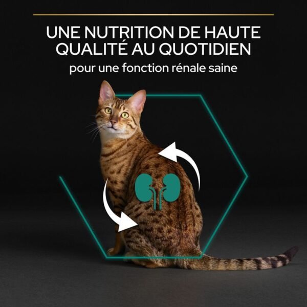 PURINA PRO PLAN Original Adult Renal Plus riche en poulet pour chat - Image 2