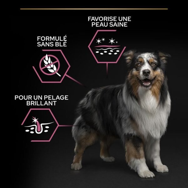 PURINA PRO PLAN Medium Adult Sensitive Skin - Image 3