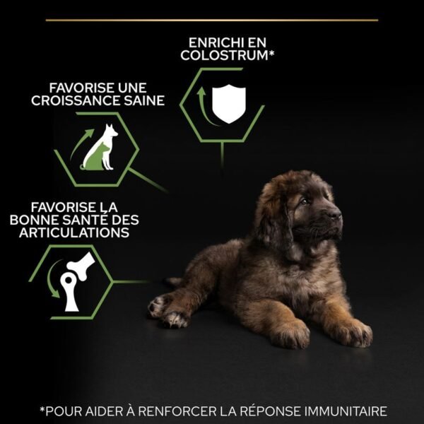 PURINA PRO PLAN Large Robust Puppy Healthy Start pour chiot - Image 4