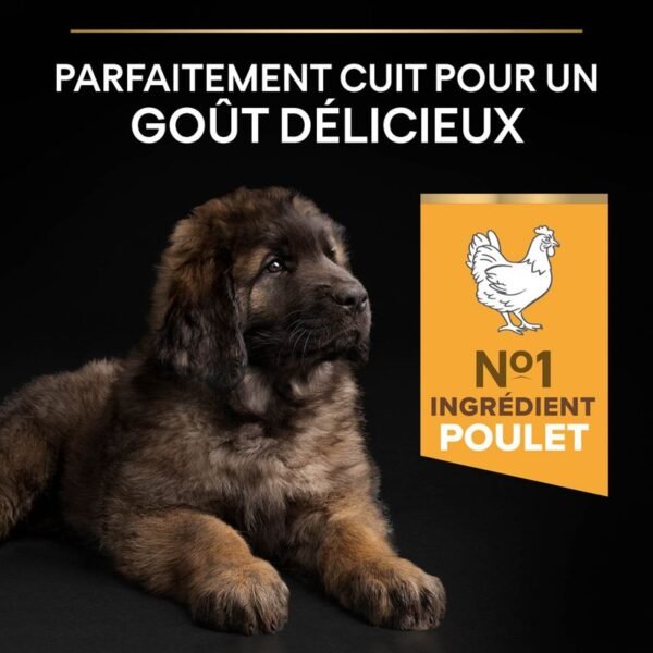 PURINA PRO PLAN Large Robust Puppy Healthy Start pour chiot - Image 5