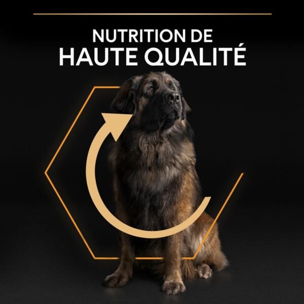 PURINA PRO PLAN Large Robust Adult Everyday Nutrition pour chien - Image 2