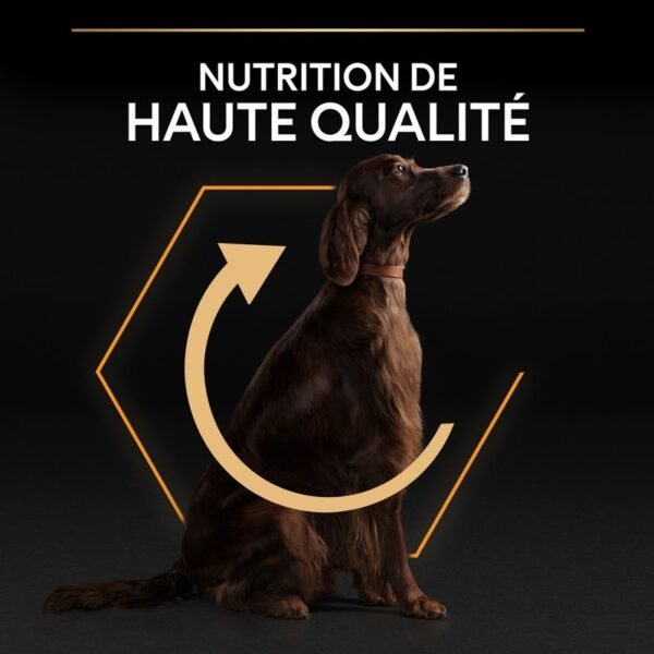 PURINA PRO PLAN Large Athletic Adult Everyday Nutrition pour chien - Image 3