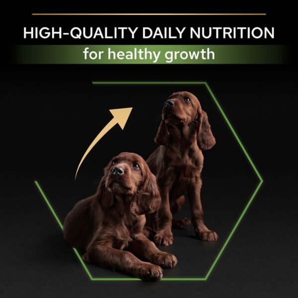 PURINA PRO PLAN Large Athletic Puppy Healthy Start pour chiot - Image 3