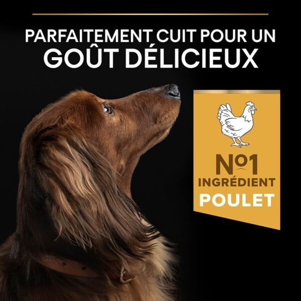 PURINA PRO PLAN Small & Mini Adult Everyday Nutrition pour chien - Image 4