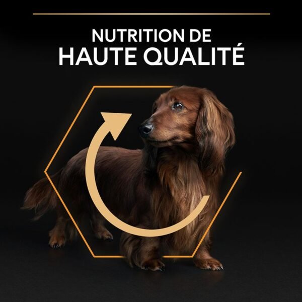 PURINA PRO PLAN Small & Mini Adult Everyday Nutrition pour chien - Image 3