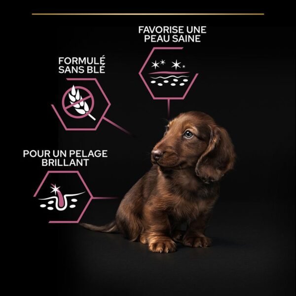 PURINA PRO PLAN Small & Mini Puppy Sensitive Skin pour chien - Image 3