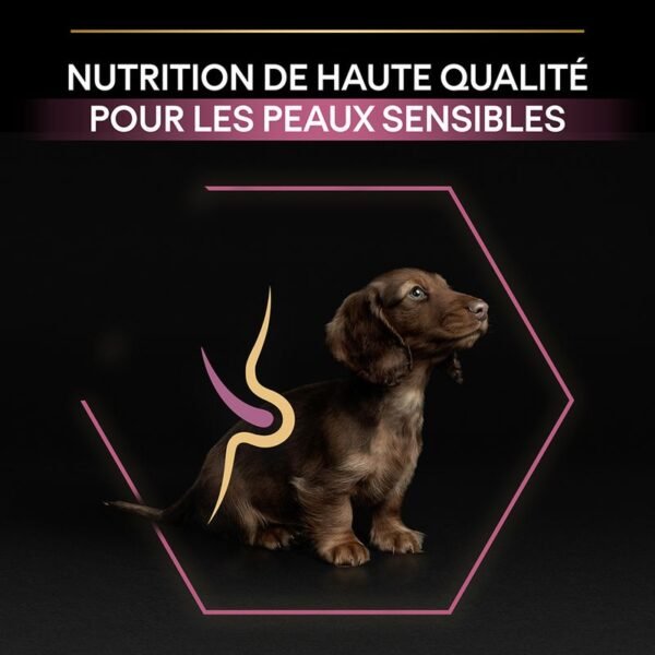 PURINA PRO PLAN Small & Mini Puppy Sensitive Skin pour chien - Image 2