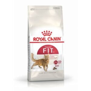 Royal Canin Regular Fit 32 pour chat