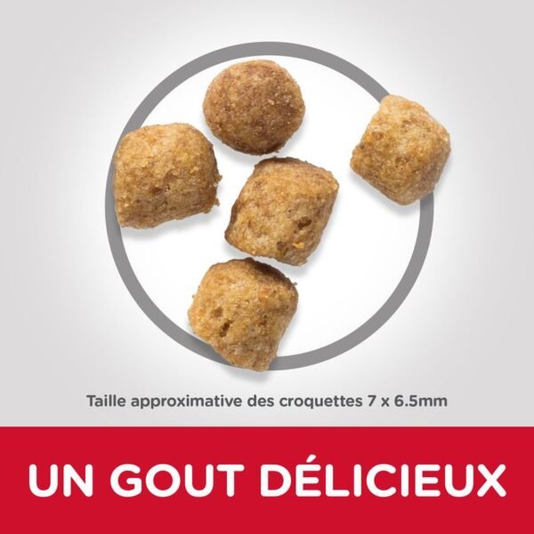Hill's Science Plan Adult Urinary Health poulet pour chat - Image 2
