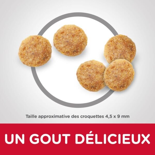 Hill's Science Plan Adult poulet pour chat - Image 2