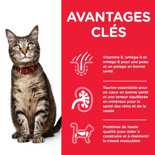 Hill's Science Plan Adult poulet pour chat - Image 3