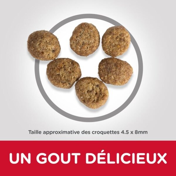 Hill's Science Plan Adult Perfect Weight poulet pour chat - Image 2