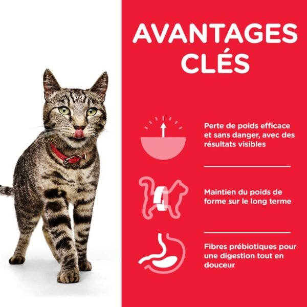 Hill's Science Plan Adult Perfect Weight poulet pour chat - Image 3