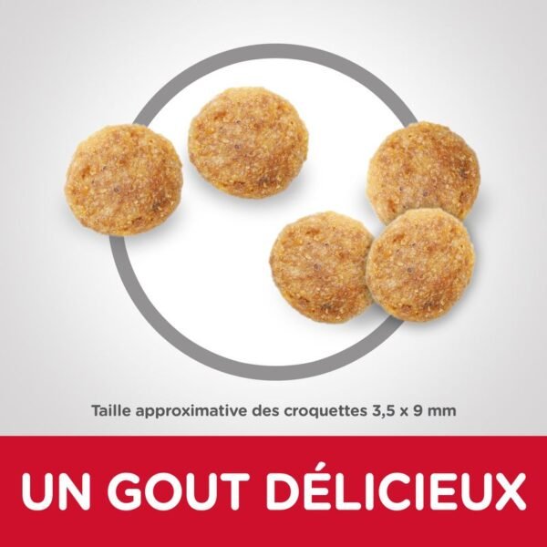 Hill's Science Plan Adult Sensitive Stomach & Skin poulet pour chat - Image 2