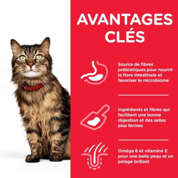 Hill's Science Plan Adult Sensitive Stomach & Skin poulet pour chat - Image 3
