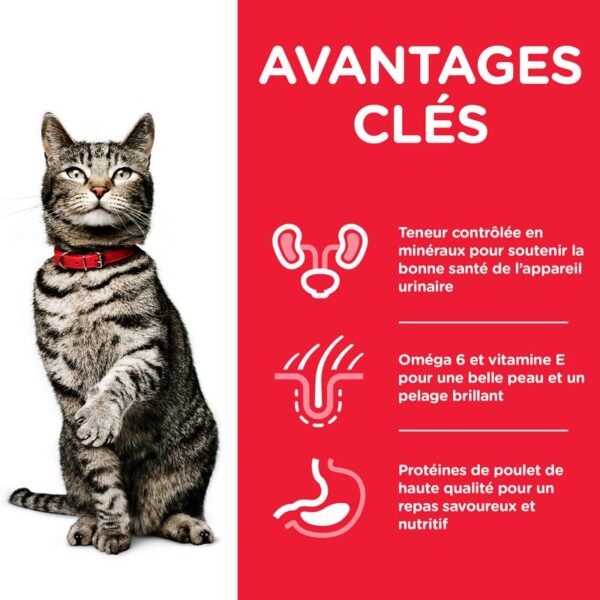 Hill's Science Plan Adult Urinary Health poulet pour chat - Image 3