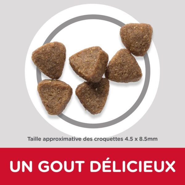 Hill's Science Plan Kitten poulet pour chaton - Image 2
