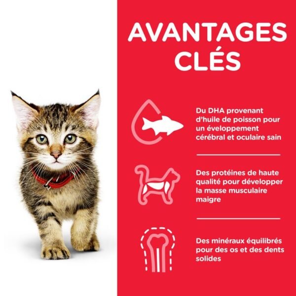 Hill's Science Plan Kitten poulet pour chaton - Image 3