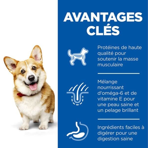 Hill's Science Plan Adult 1-6 Small & Mini poulet pour chien - Image 5