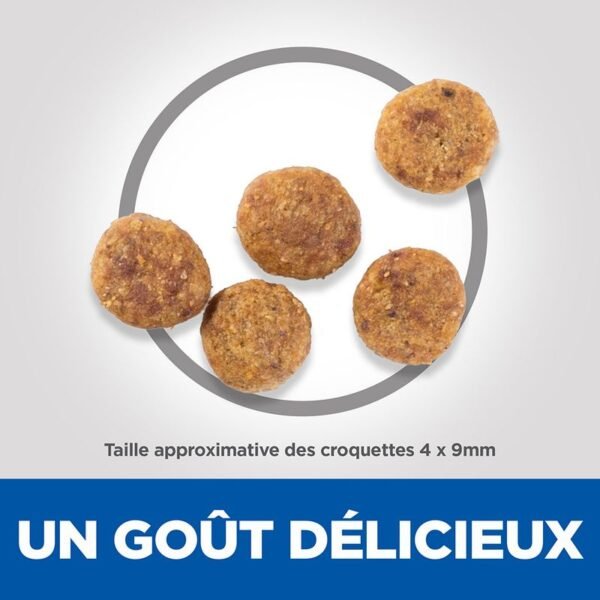 Hill's Science Plan Adult 1+ Perfect Weight Small & Mini poulet pour chien - Image 2