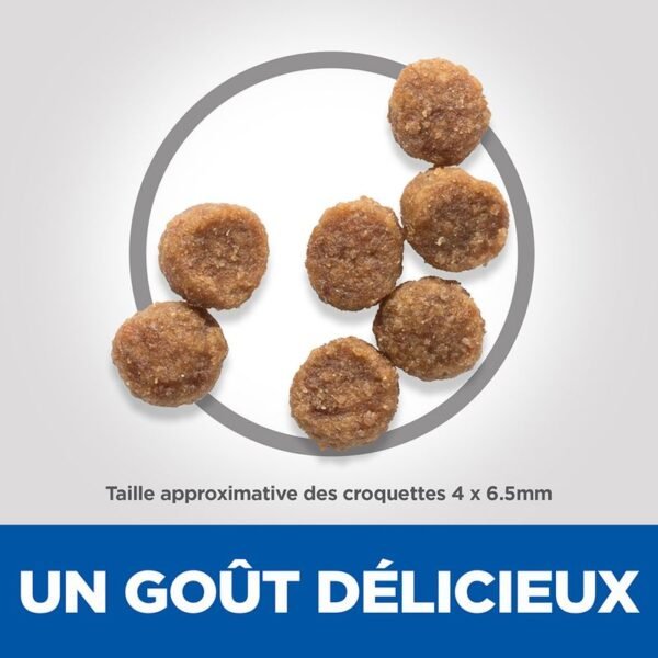 Hill's Science Plan Puppy <1 Small & Mini poulet pour chiot - Image 2