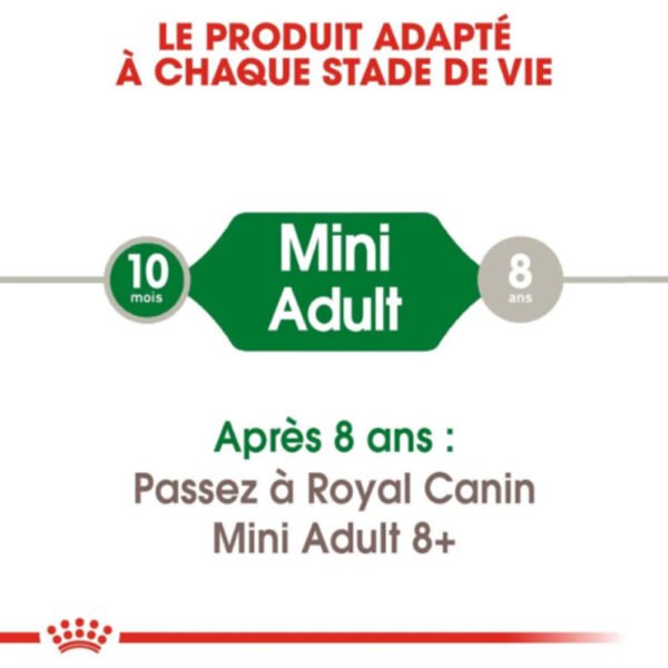 Royal Canin Mini Adult - Image 4
