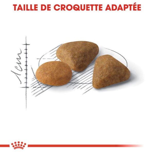 Royal Canin Savour Exigent pour chat - Image 3