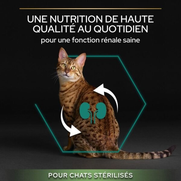 PURINA PRO PLAN Sterilised Adult Renal Plus saumon pour chat - Image 2