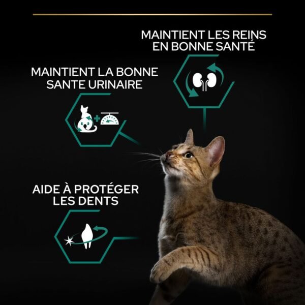PURINA PRO PLAN Sterilised Adult Renal Plus saumon pour chat - Image 3