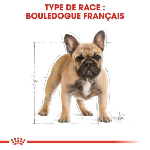 Royal Canin Bouledogue Français Adult pour chien - Image 2