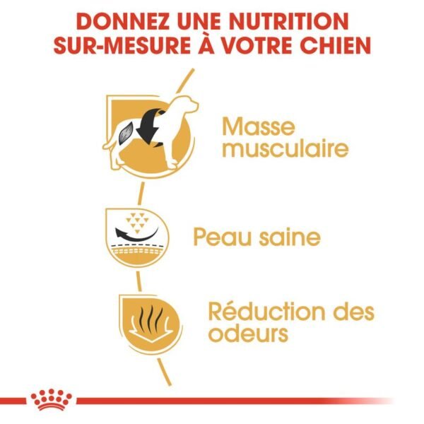 Royal Canin Bouledogue Français Adult pour chien - Image 4