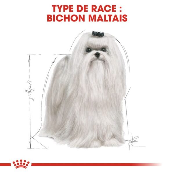 Royal Canin Bichon Maltais Adult pour chien - Image 5