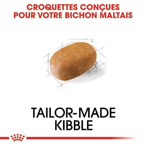 Royal Canin Bichon Maltais Adult pour chien - Image 3