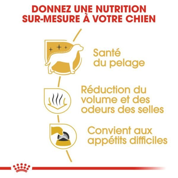 Royal Canin Bichon Maltais Adult pour chien - Image 4